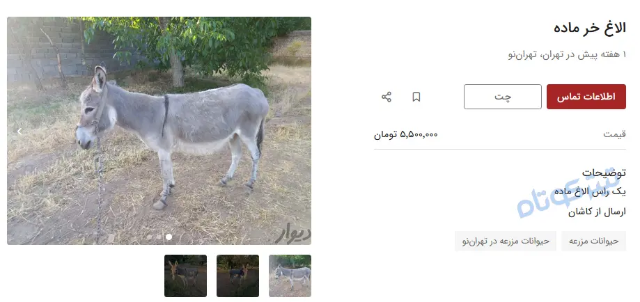 خر-1