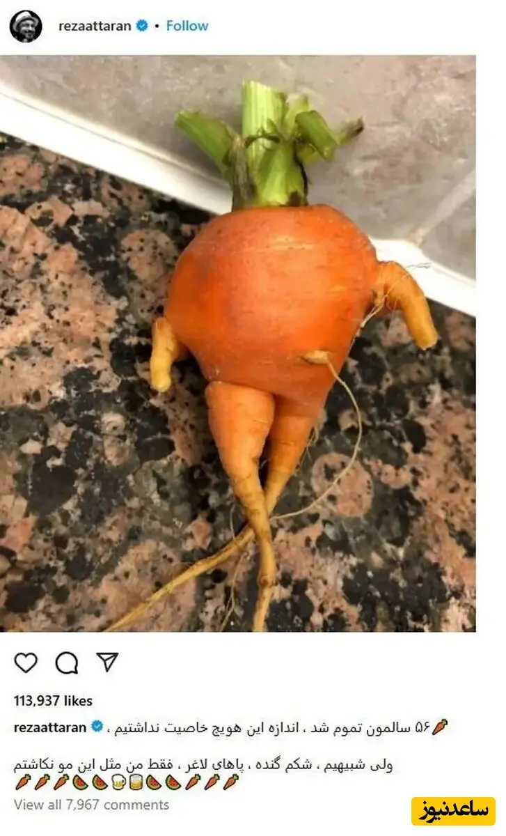  هویج