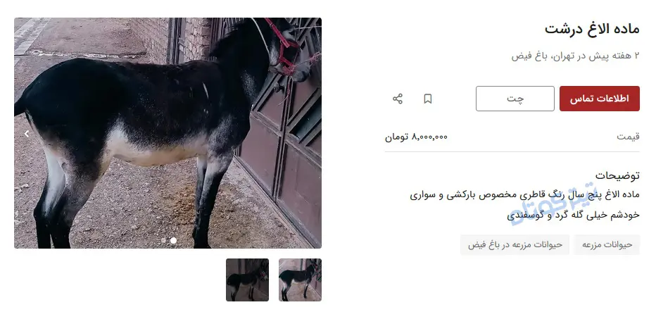 خر4