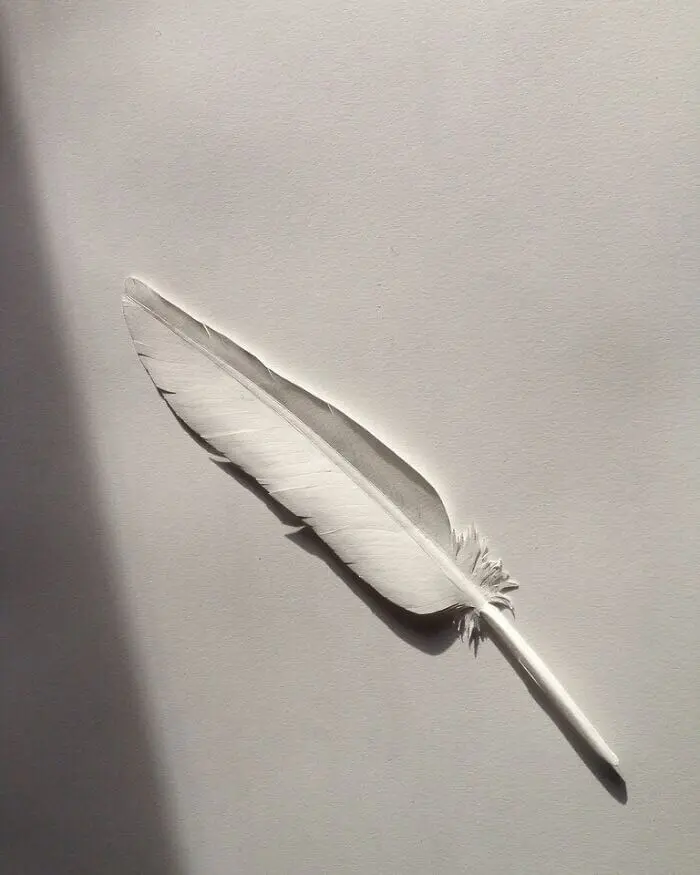 پر ساخته شده با کاغذ