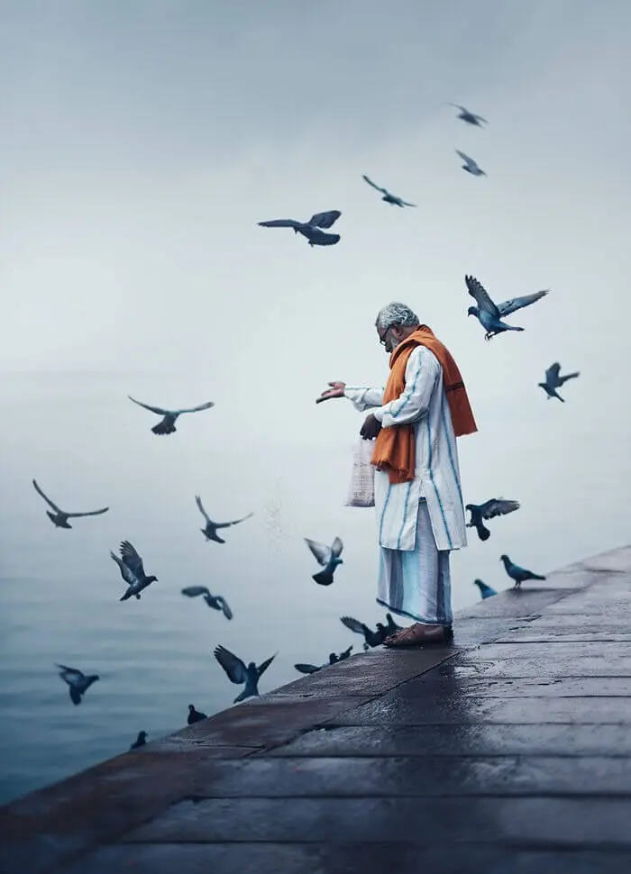 مردی در حال پاشیدن دانه برای پرندگان