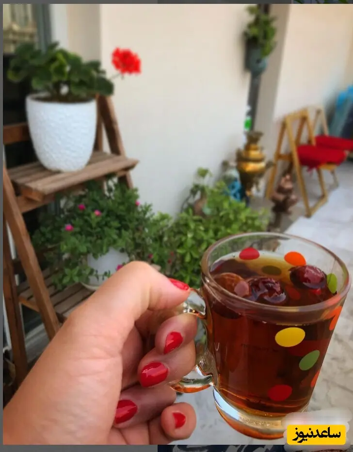 خانه مهراوه شریفی نیا
