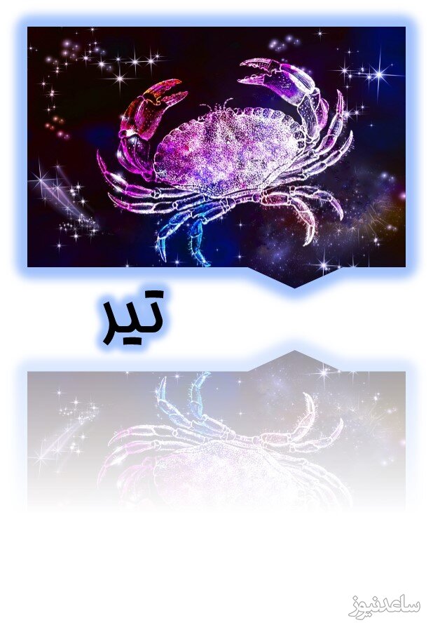 تیر