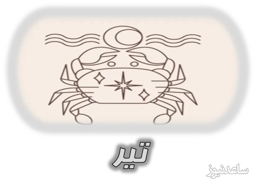 تیر