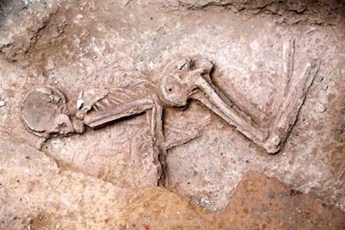 کشف اسکلت7000 ساله  و گنج در خ مولوی تهران