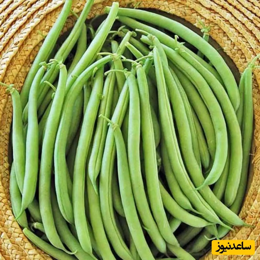 لوبیا سبز