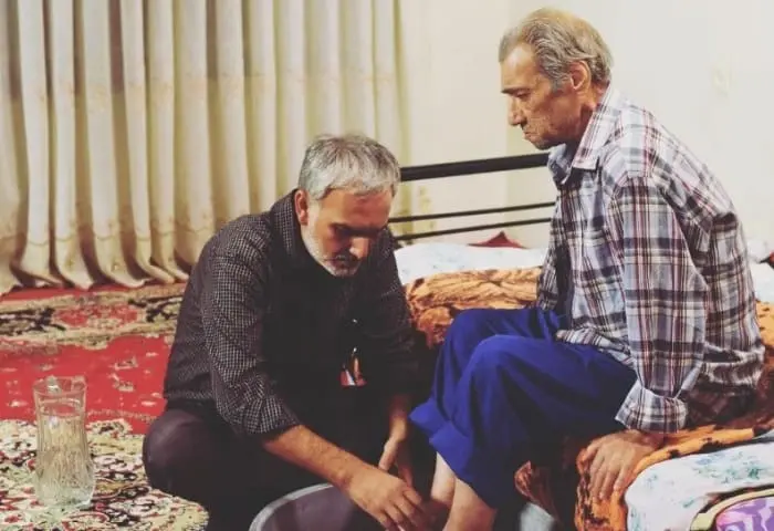 قتل گربه ها