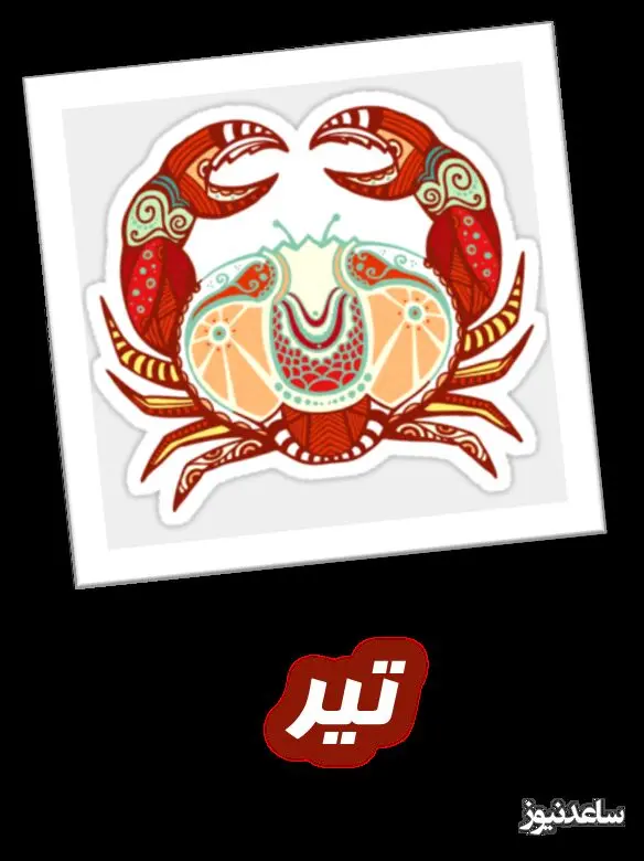 تیر