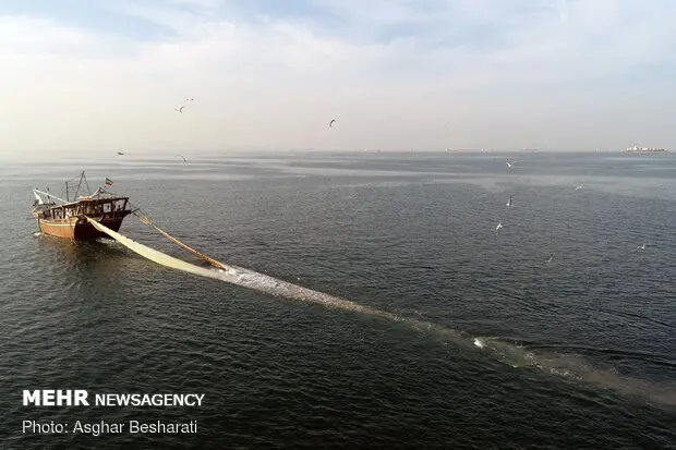 شخم‌زدن کف خلیج فارس با «ترال»/ ذخایر دریایی تهدید می‌شوند