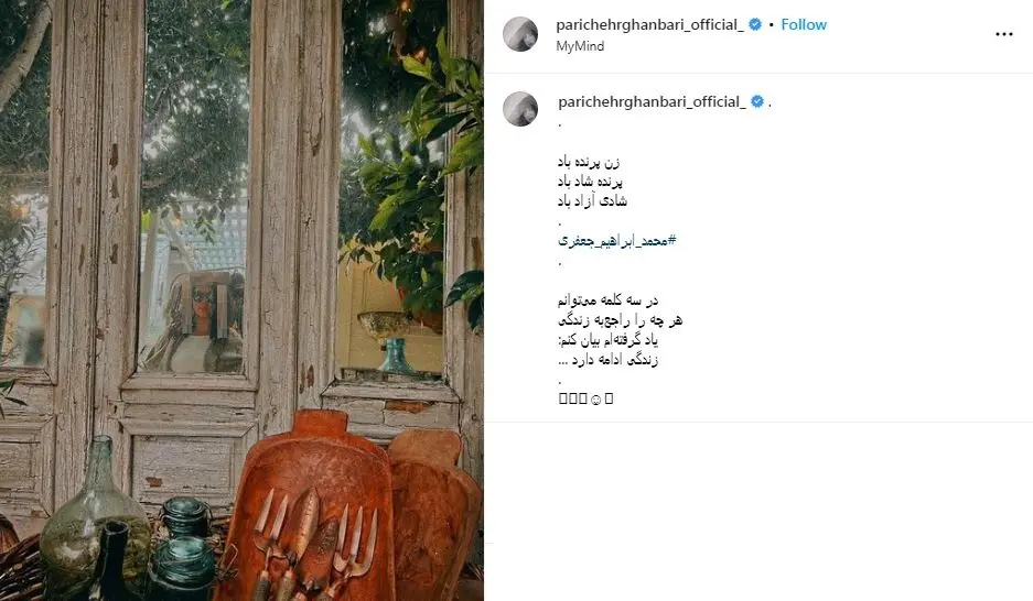رونمایی پریچهر قنبری همسر شهاب حسینی از مسیر جدید زندگی اش