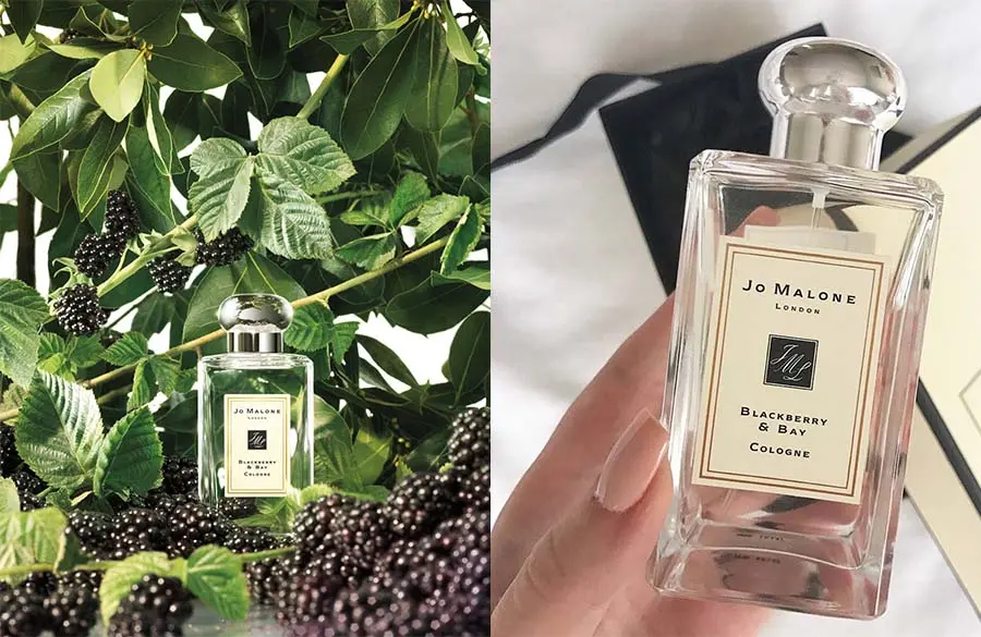 عطر