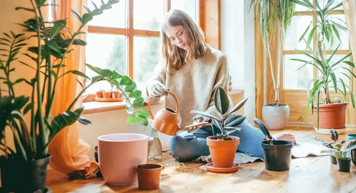 بازی‌های آرام‌بخش با طبیعت