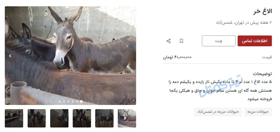 خر2