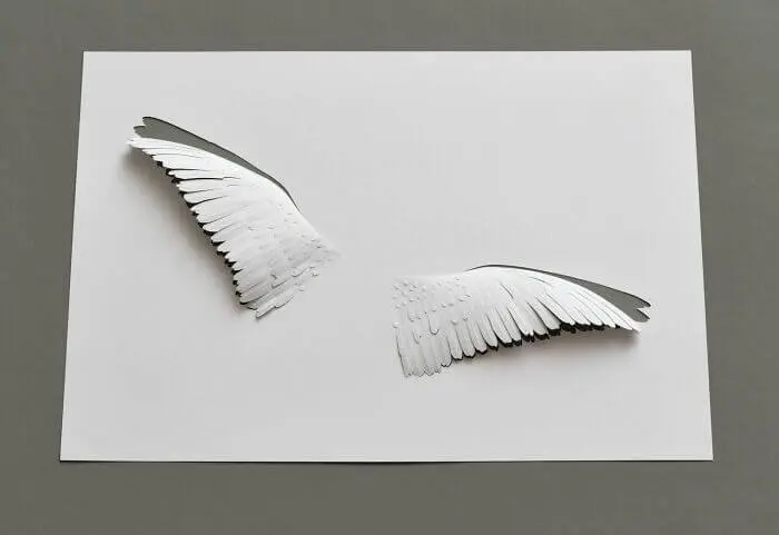 بال پرنده ساخته شده با کاغذ