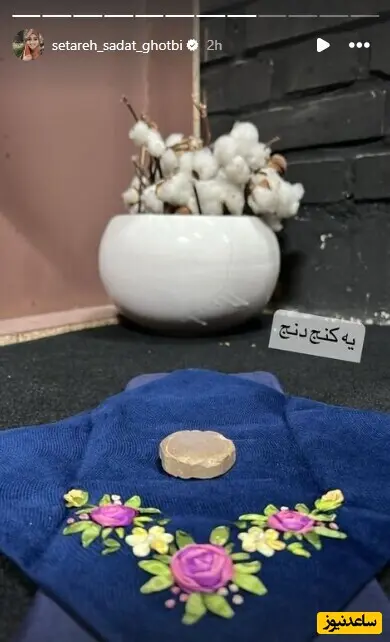 ستاره سادات قطبی