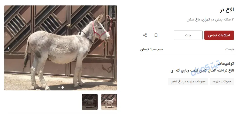 خر3