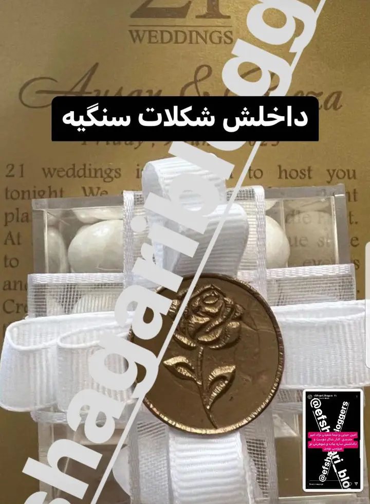 عروسی محمدرضا گلزار (11)