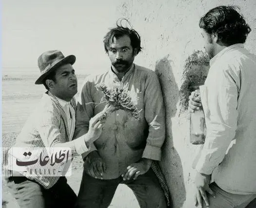 برزسیز