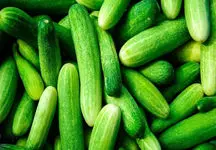 قرعه گرانی این بار به نام خیار افتاد ! 