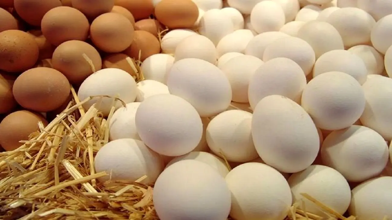 تقاضای جدید برای افزایش قیمت تخم مرغ