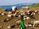 شاهکار تاریخی دولت با گوشت گوسفند 