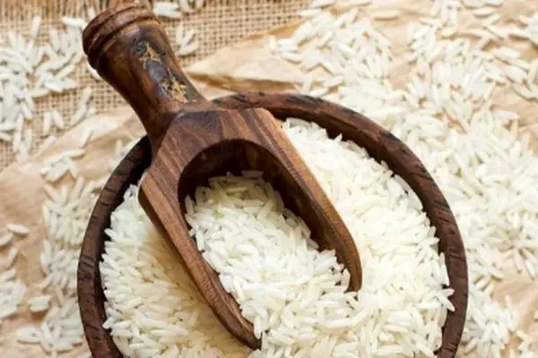 کاهش عجیب قیمت برنج هندی در خرداد ۱۴۰۴
