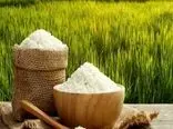 دولت برای خرید برنج شمال دست به جیب شد