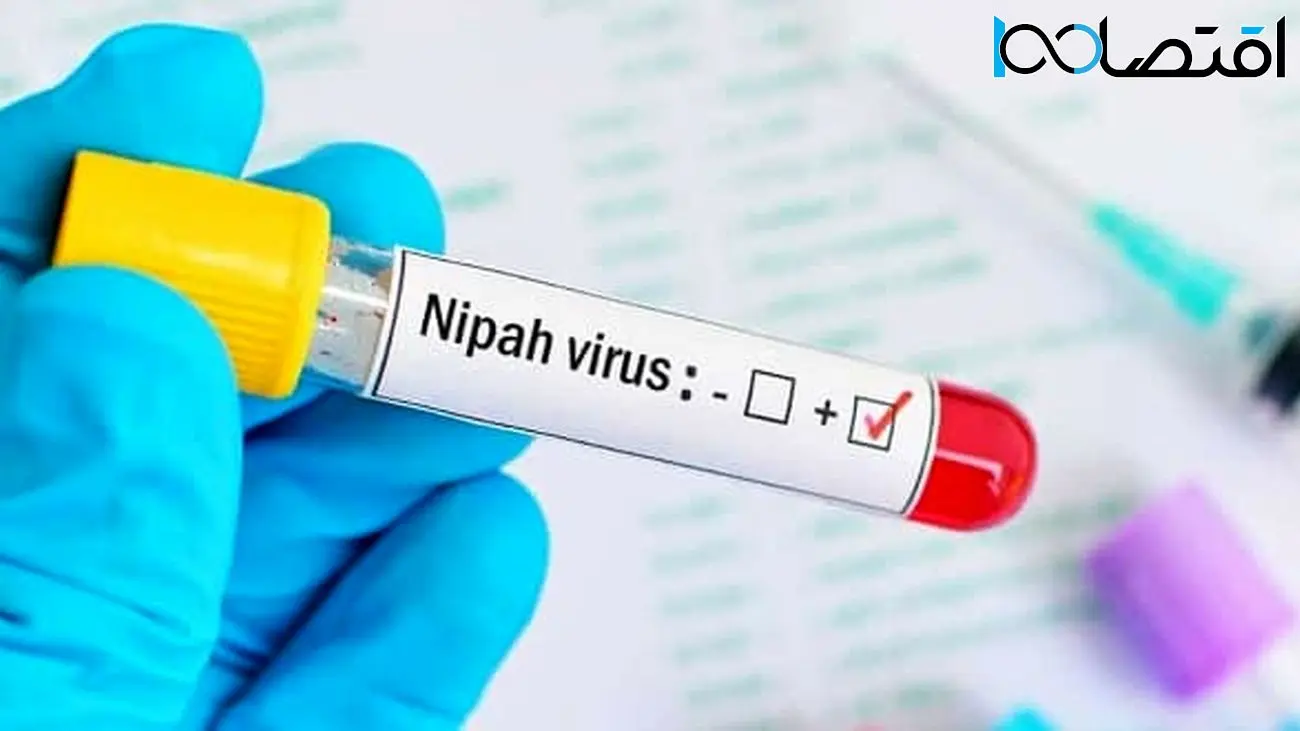 ویروس نیپا، یک بیماری واگیردار مرگبار با سرعتی عجیب در حال انتشار است