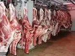 ارزانی مشکوک قیمت گوشت گوسفند و گوساله در بازار 