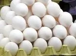 صادرات تخم مرغ ۱۲۰ درصد افزایش یافت