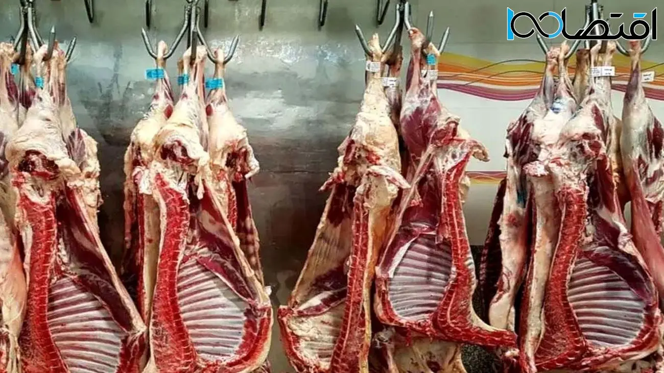 قیمت گوشت قرمز امروز ۳۰ خرداد ۱۴۰۳ 