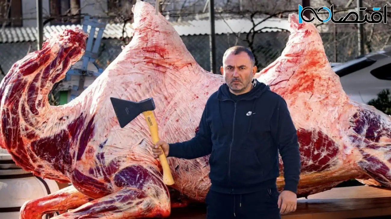 قیمت گوشت شتر تا کیلویی 850هزارتومان رسید