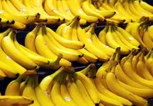 چرا بازار موز ایران دست ترکیه است؟ /افزایش 400 درصدی بهای واردات موز