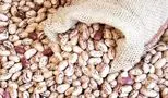 جدیدترین خبر رسمی درباره قیمت لوبیا چیتی منتشر شد