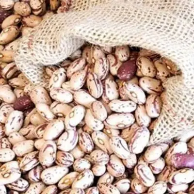 جدیدترین خبر رسمی درباره قیمت لوبیا چیتی منتشر شد