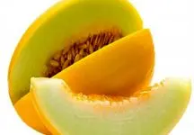 شگفتی در بازار کاشان؛ خربزه‌های ۲۵ کیلویی +تصاویر