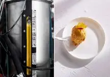 ساخت غذا از هوا و برق توسط محققان فنلاندی