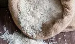 راز بزرگ در گرانی برنج ایرانی فاش شد!