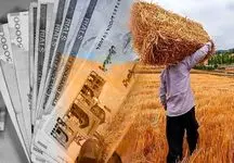 خبر خوش برای گندم‌کاران / مابه‌التفاوت پول خرید تضمینی گندم به‌زودی پرداخت می‌شود!
