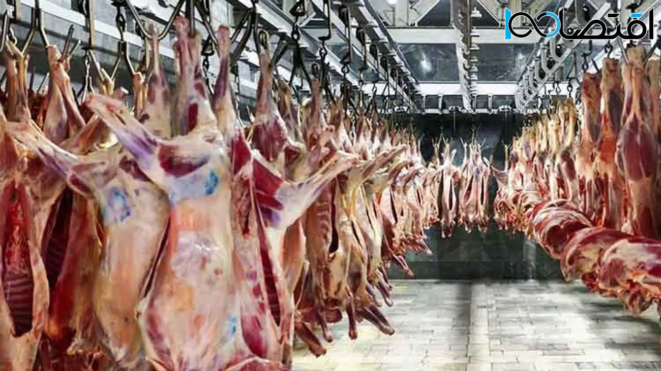 قیمت گوشت گوسفندی و گوساله ۳۰ تا ۵۰ هزار تومان ارزان شد /  جدیدترین قیمت دام زنده و گوشت گوساله