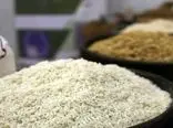 واردات برنج اشک شالیکاران را درآورد
