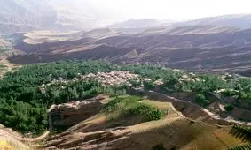 اراضی روستایی ۵۰۰ متری اجاره داده می ‌شود 