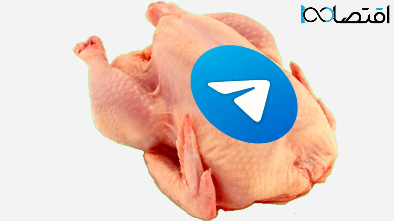 تلگرام مرغ را ارزان کرد /  متهم همیشه گرانی اینبار تبرئه شد؟!