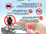 ۶ راه موثر  برای دور نگه داشتن حشرات موذی از خانه 