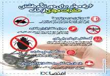 ۶ راه موثر  برای دور نگه داشتن حشرات موذی از خانه 