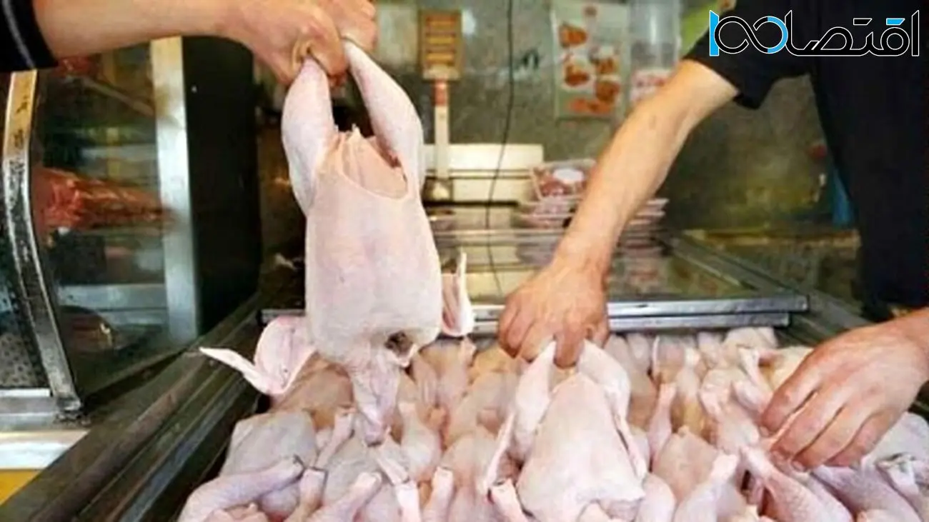 قیمت گوشت مرغ و فیله مرغ امروز ۱۸ خرداد ۱۴۰۴ + جدول کامل