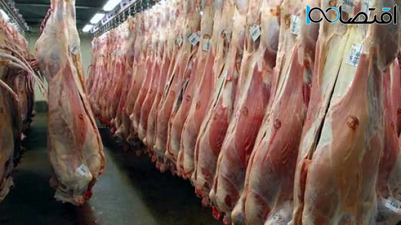 عرضه گوشت قرمز به قیمت سال گذشته؟ /میزان واردات روزانه گوشت اعلام شد!