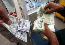 سیاست ارزی دولت تحت تاثیر صدای این افراد