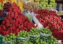 قیمت میوه های نوبرانه چند؟ / این خوشمزه ها به کیلویی 160 تومان رسید 