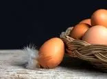 نرخ هرکیلو تخم‌مرغ برای مصرف کننده ۵۶ هزارتومان 